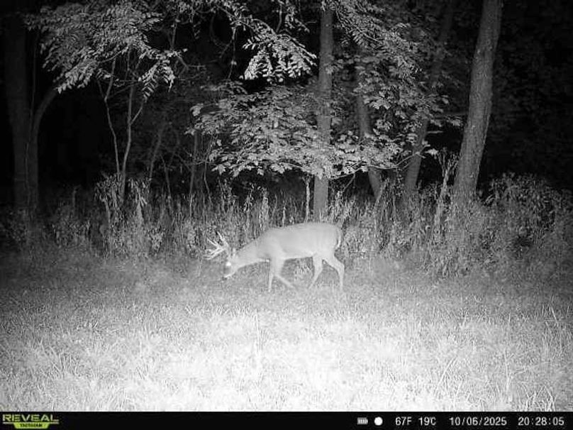 864049057528277-100-4-10062025202804-W1001088