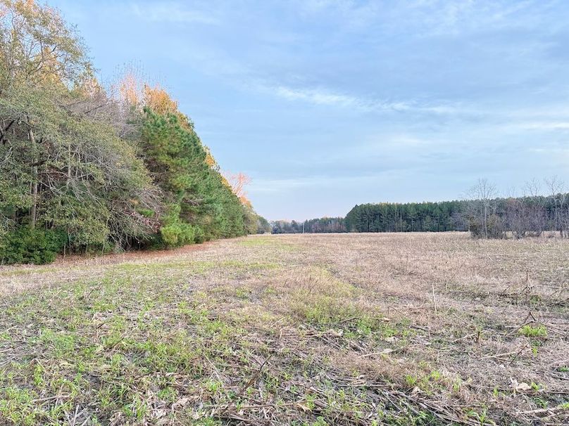 E4F05CEC-B13F-461A-BF79-099DF8A5CF39