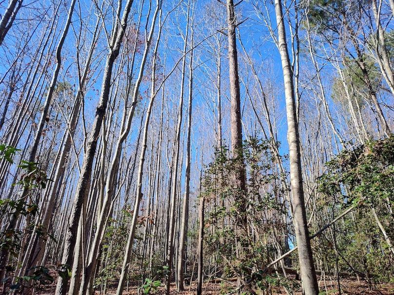 IMG_20251124_115502316_HDR