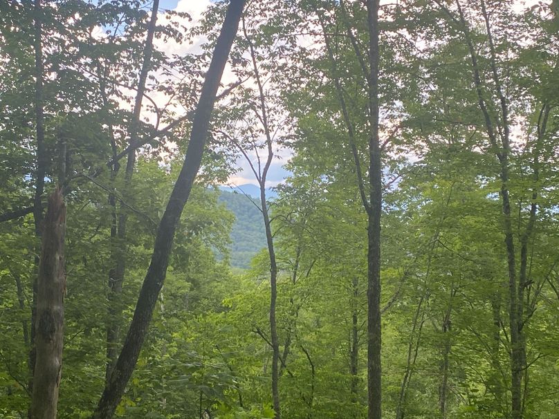 Swain 39 Tysinger-27