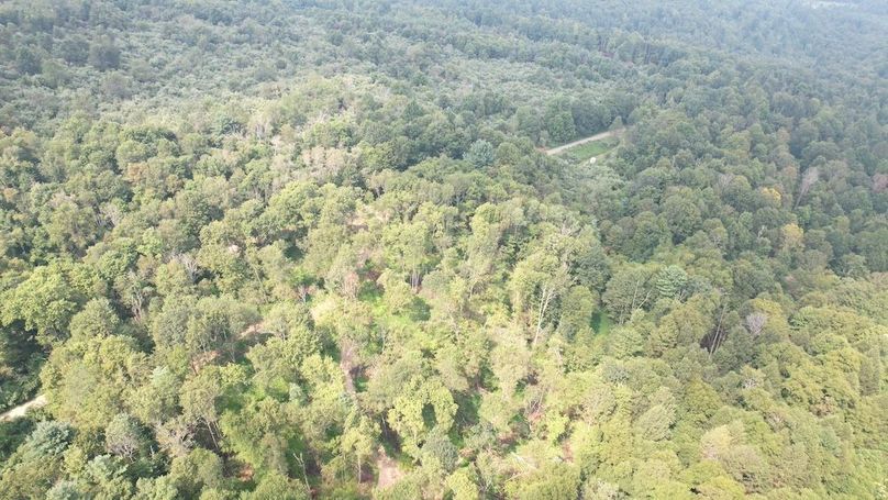 dji_fly_20250806_151926_613_1754528907430_photo