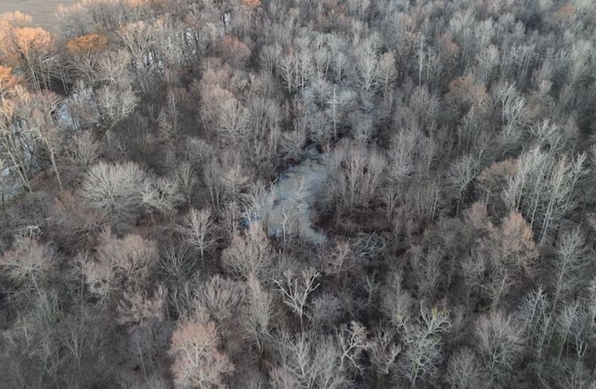 311 new20260217_0454