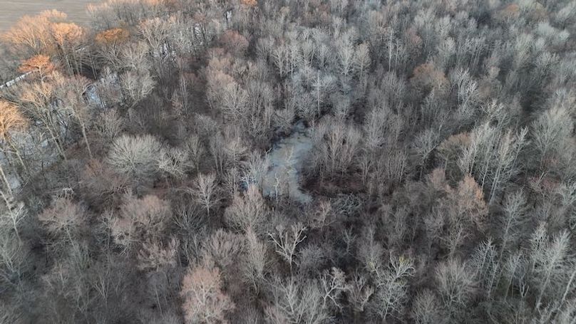 311 new20260217_0454