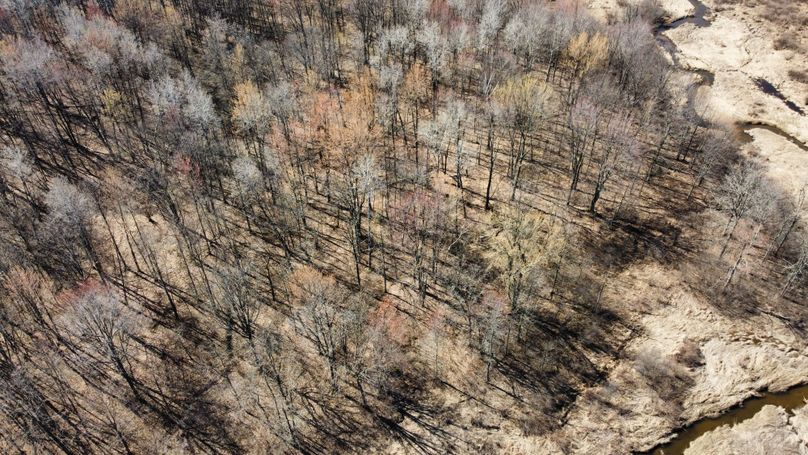 dji_fly_20230413_105246_335_1681401689123_photo_optimized