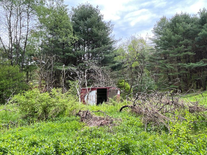 Tioga_18.72_Coulson Photo 43