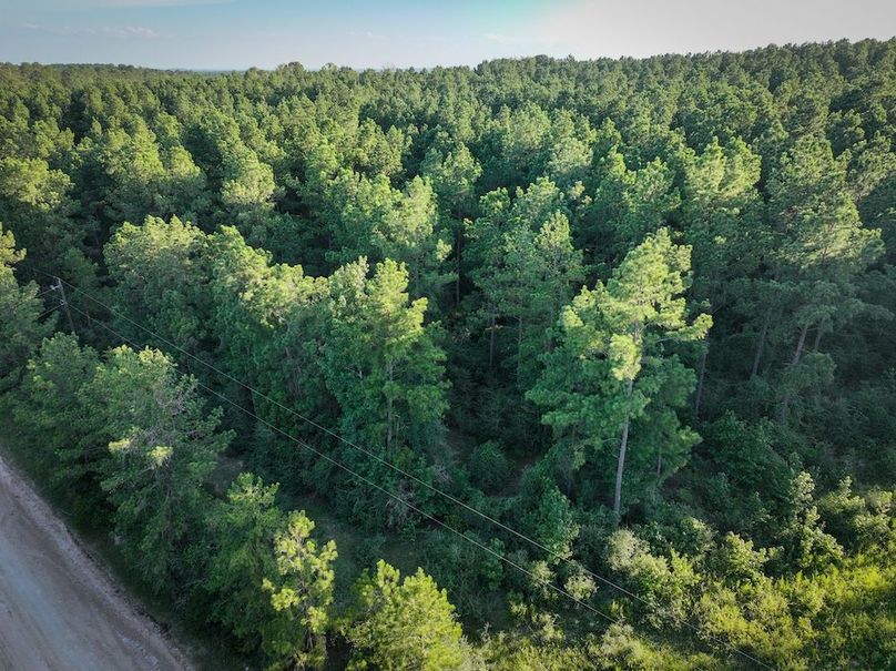 Copy of DJI_20240704191850_0064_D