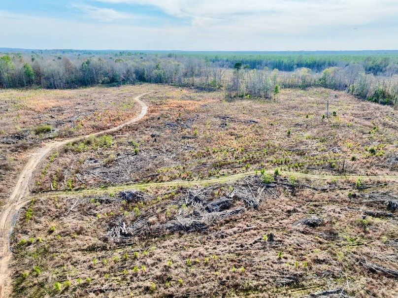 7397241E-28D1-42A7-B70F-43A1CBD0E466_1_201_a