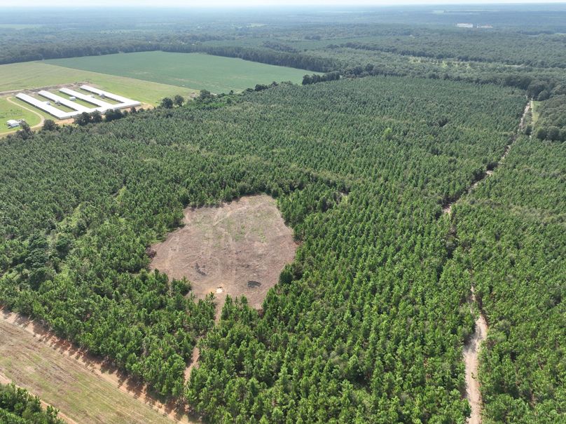 dji_fly_20230905_113932_624_1693928751804_photo