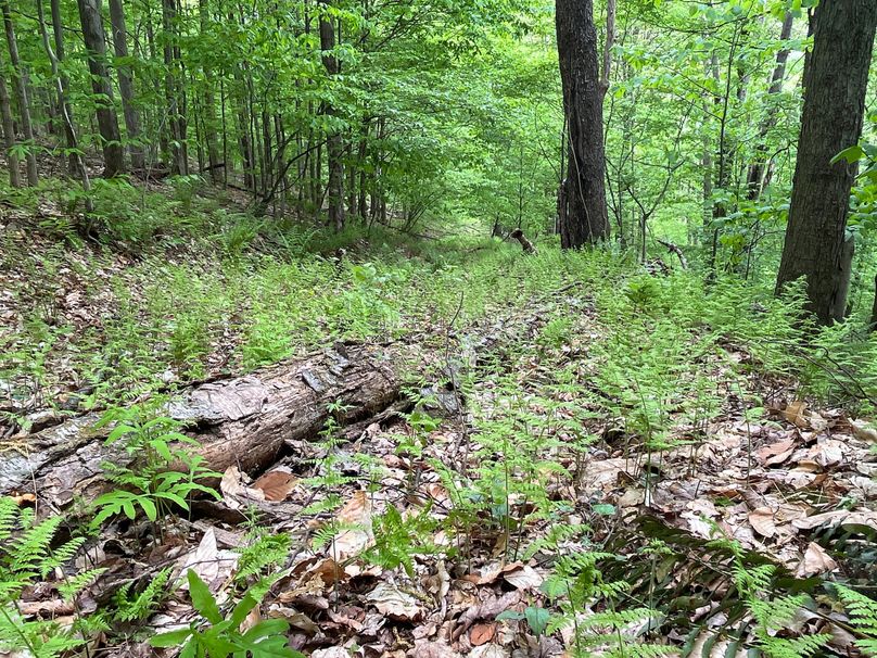 Tioga_18.72_Coulson Photo 40