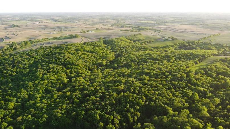 PAGE CO IA 130+_-_64