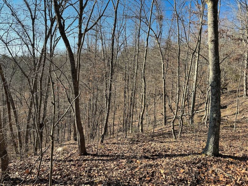 049 nice timber mix and hill side benches