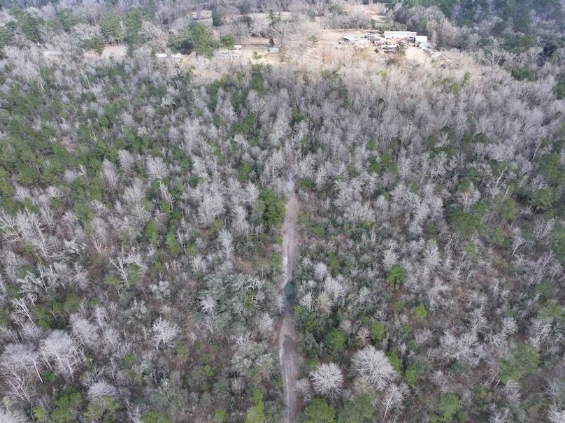 dji_fly_20260212_140224_0049_1771284245588_photo