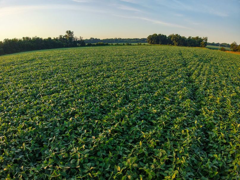 DJI_20250823071930_0942_D