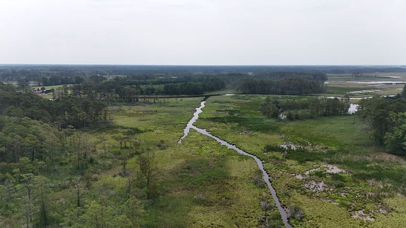 M_IMG6_58AC_dji_fly_20250613_102910_0010_1749852319558_photo