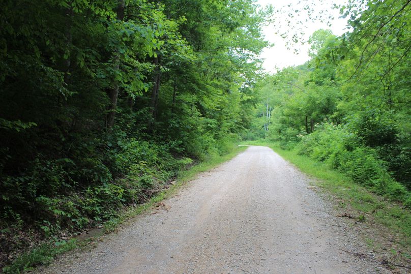 017 Zeke Br Road leading along the east boundary