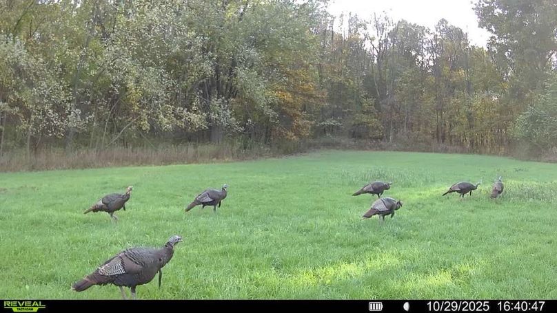 016687000208948-100-4-10292025164047-V-SYFW03155