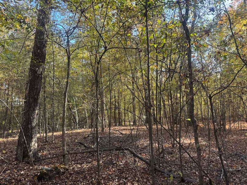 Jeff 11720251111_0211