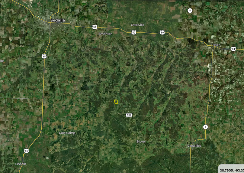 morgan133zoomed out