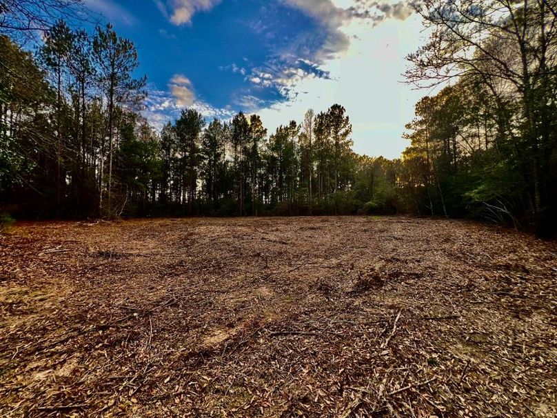 B3A02E82-5784-43BB-8F52-22BAD46385D8_1_201_a