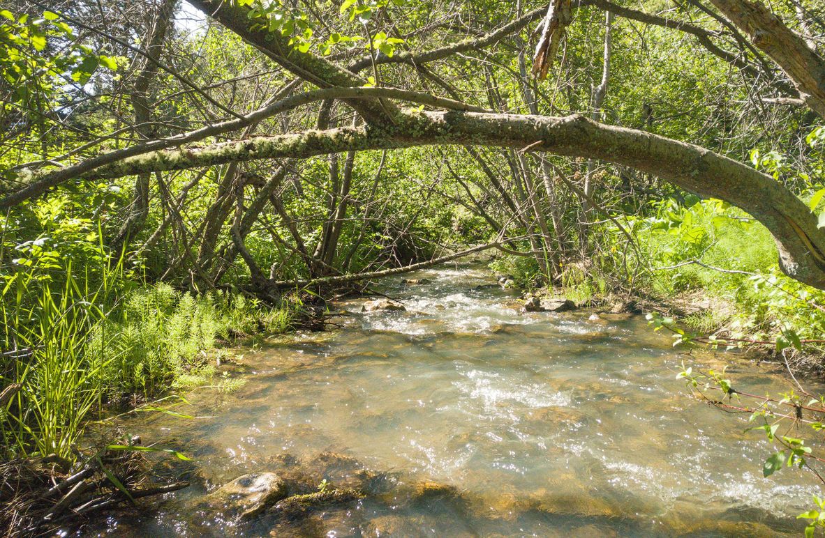 1. 20230607-DJI_0720