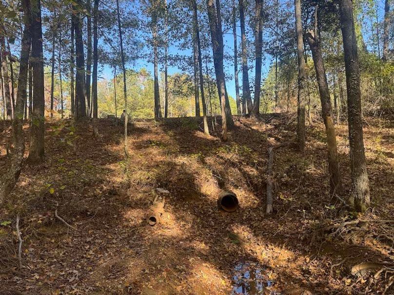 jeff 5020251111_0308