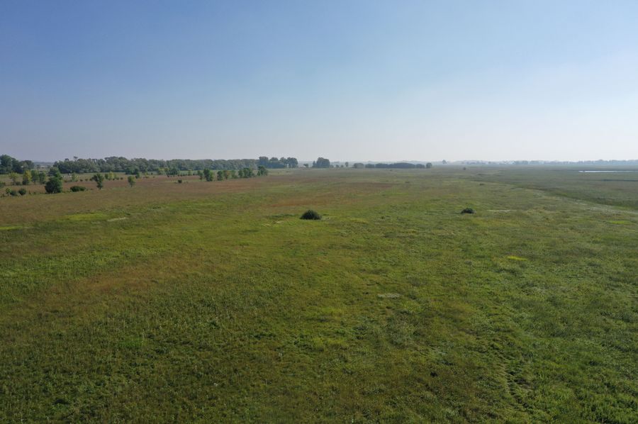 DJI_0262