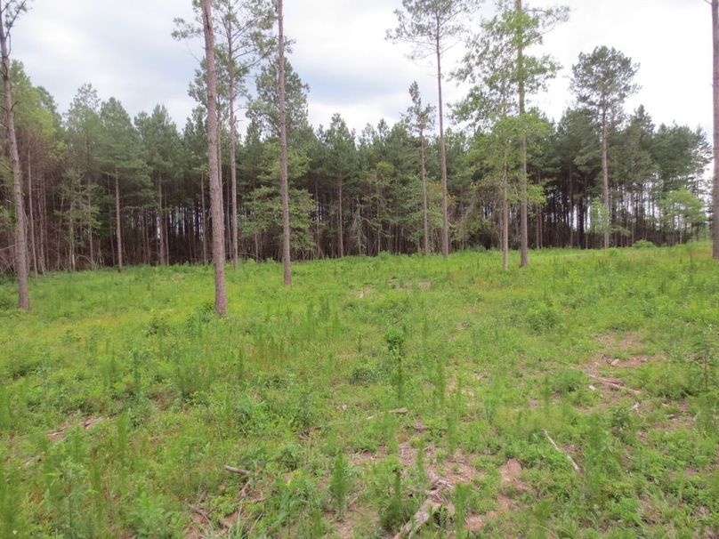 7A6BF425-BF27-4B49-8761-00032DDC12F8_1_105_c