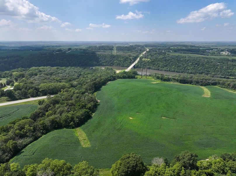 Olmsted 42.63 New-04