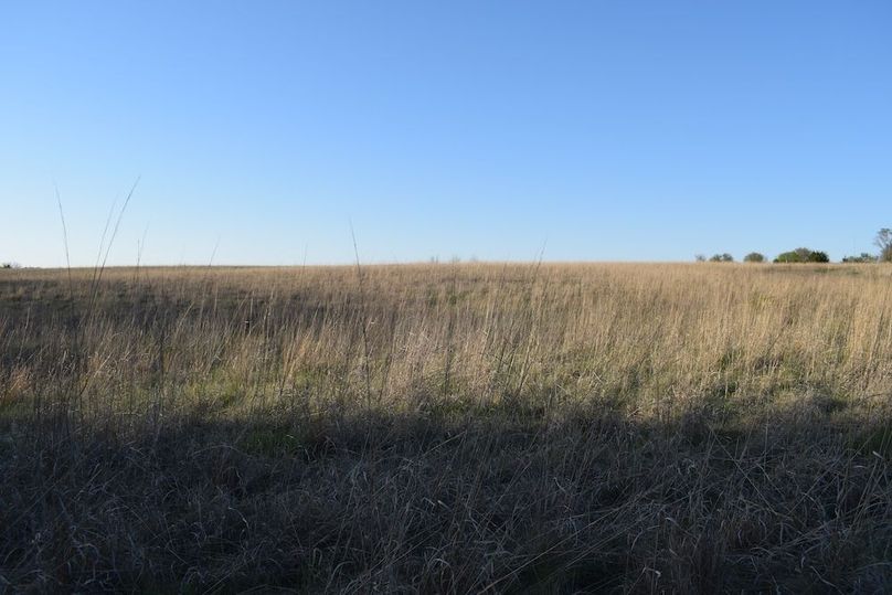 DSC_0017