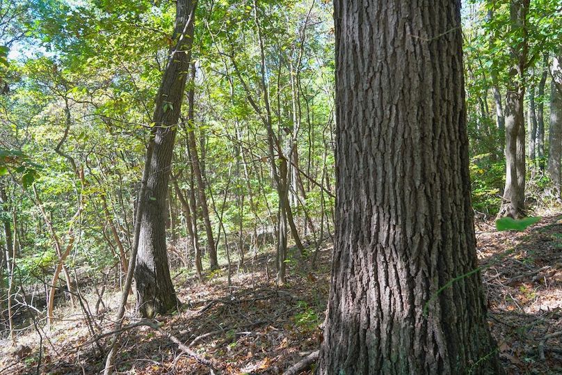 Fayette, 199, Hostetler-40