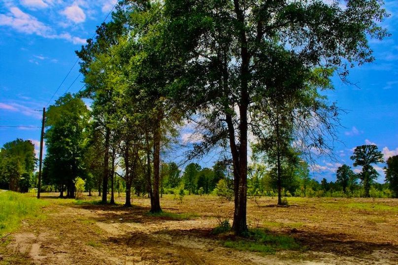 CE86418F-FEF7-46AC-AF1A-9C7F5EE3A2E9_1_105_c