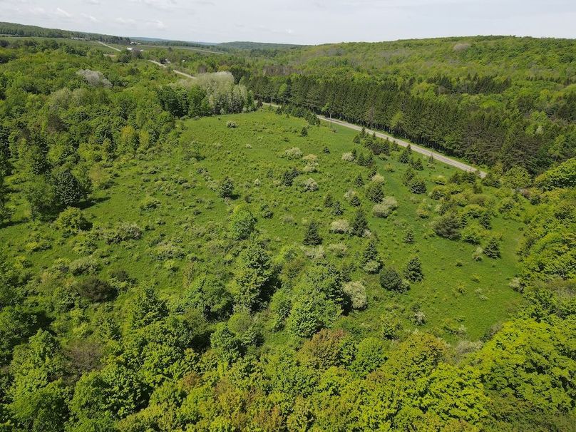 DJI_0428