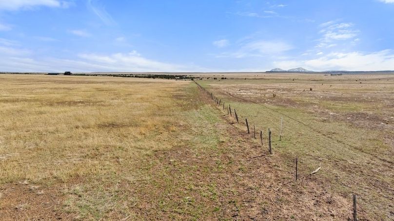 DJI_20250408164927_0104_D