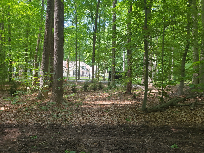 26.48ac_McKenneyLn_QAnnes_33