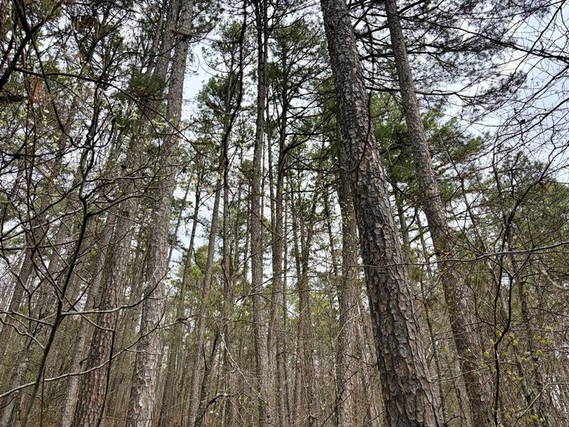 25F3985E-15B4-4BCC-85F3-E9B9E379F2DD_1_201_a