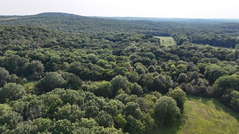 DJI_20240726183938_0026_D