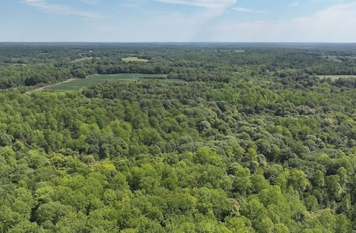 dji_fly_20240904_132758_0369_1725471196183_photo