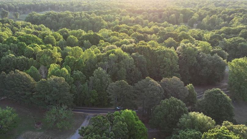 Desoto 8.3 Clement (Final Frontier) -9