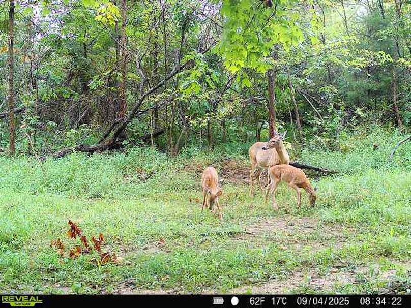 860322066773638-100-3-09042025083422-W1004031