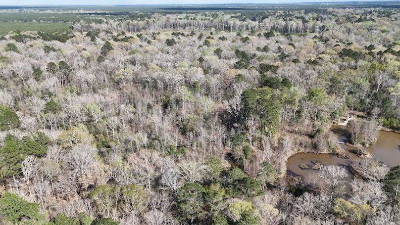 dji_fly_20260305_050526_0094_1772672659877_photo