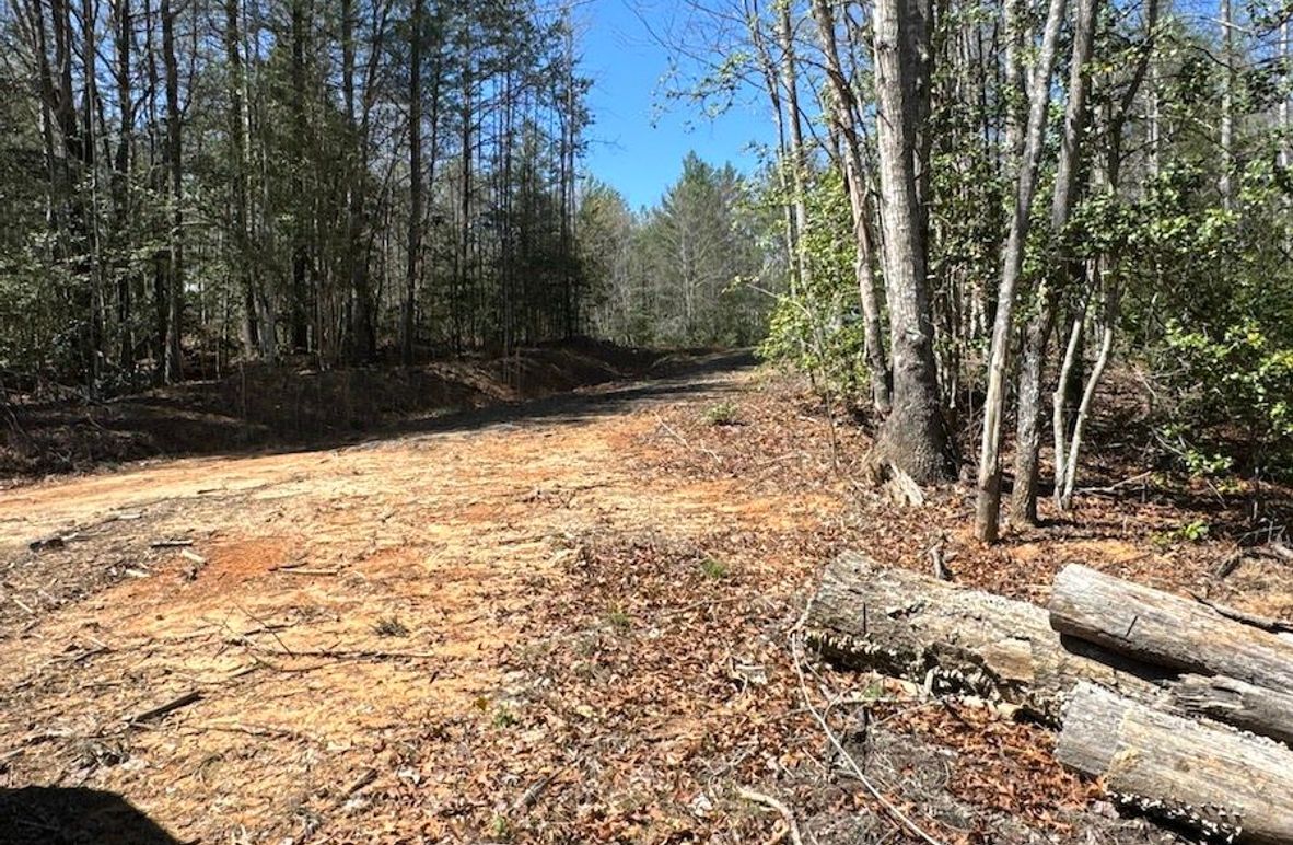 004_Partically Cleared