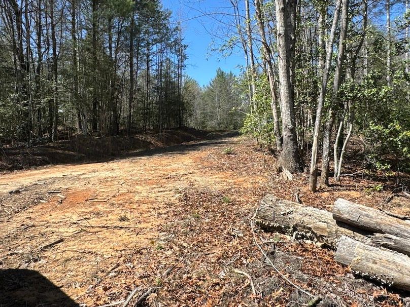 004_Partically Cleared