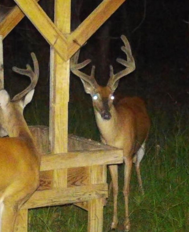 Screenshot 2023-07-23 at 10.21.31 PM