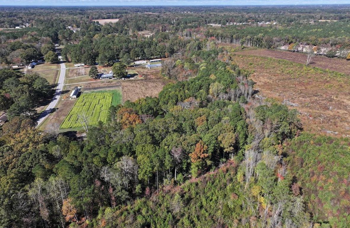 DJI_20251018123806_0138_D