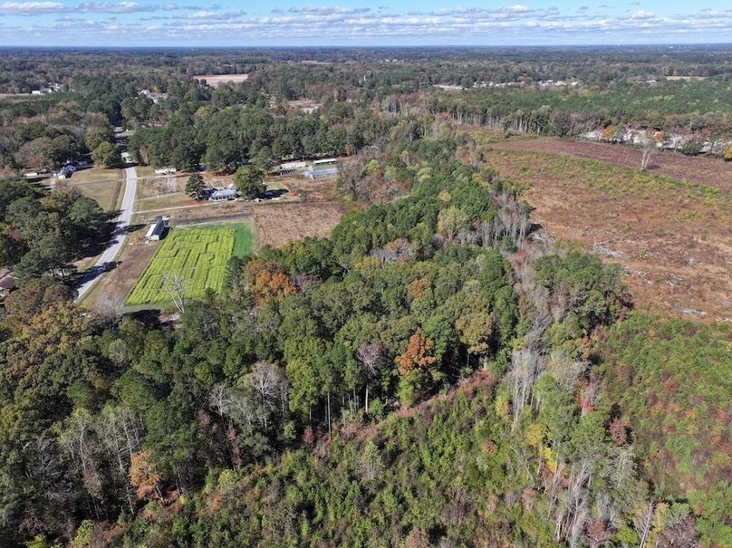 DJI_20251018123806_0138_D