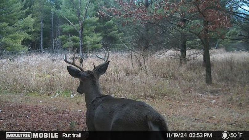 Temp_731870-20241119205551-20241119145341_005003