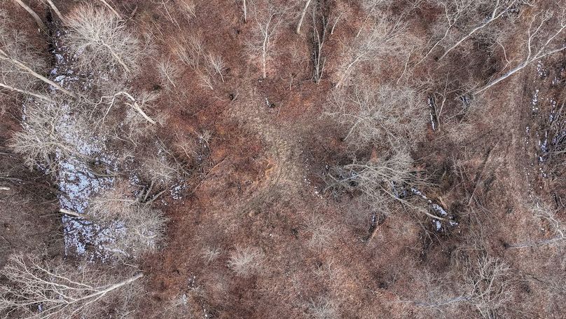 DJI_20260211162923_0013_D