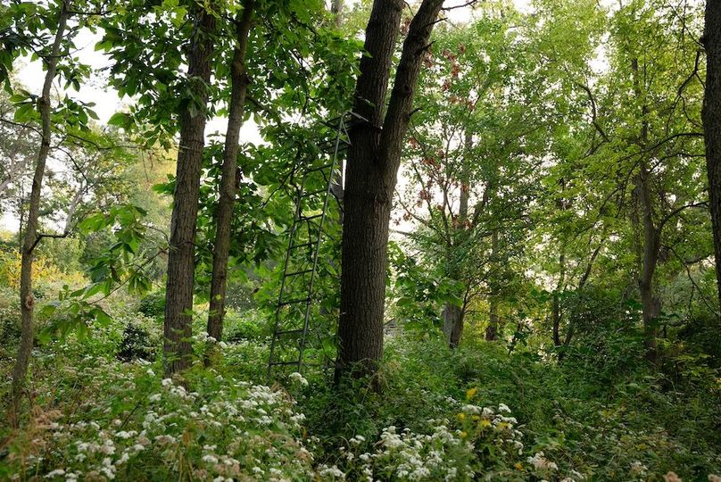 Cedar IA 152 Featured-Z75