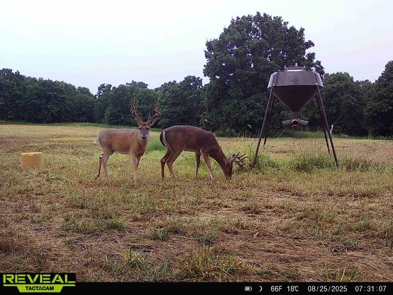 865814048168262-40-2-08252025073106-HD-W1000765