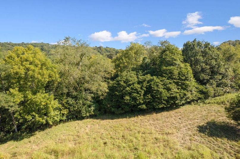 29-web-or-mls-DJI_0304